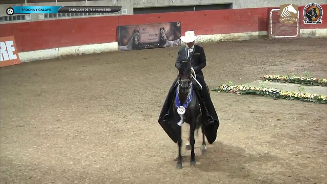 FERIA EXPOEQUINA GRADO 