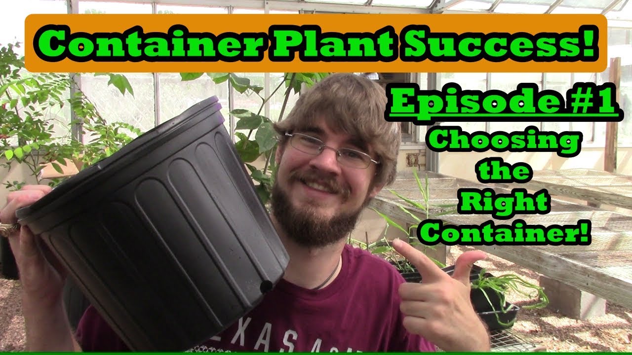 NEW SERIES! Container Plant Success Episode 1-Choosing The Right Container!