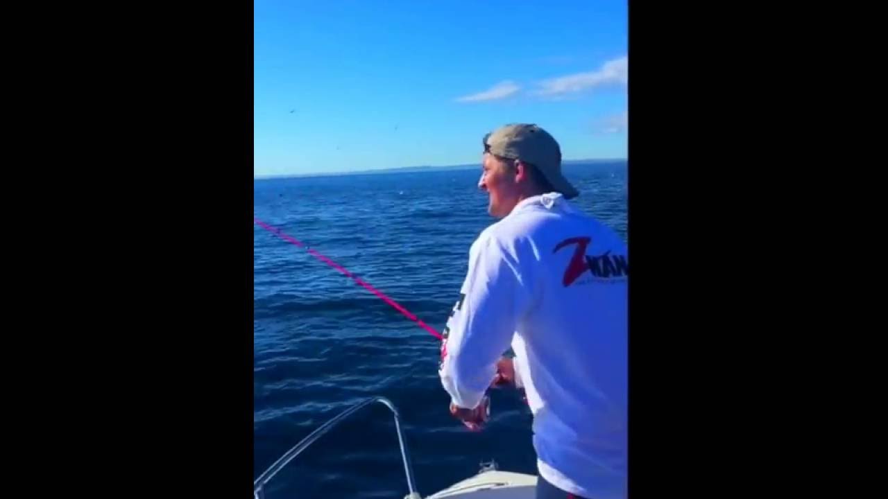 Bass fishing Eddystone lighthouse using Zman swimmerz
