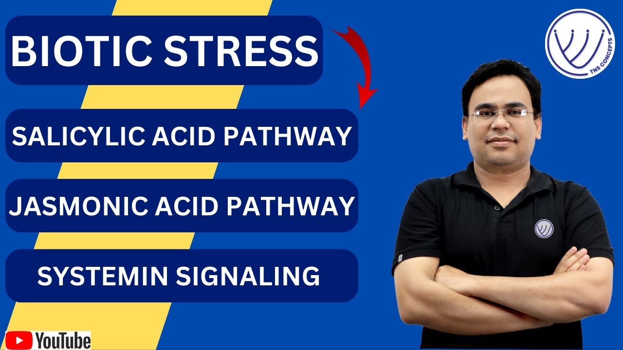 SALICYLIC ACID PATHWAY | JASMONIC ACID PATHWAY | SYSTEMIN SIGNALING | CSIR NET LIFE SCIENCE | GATE