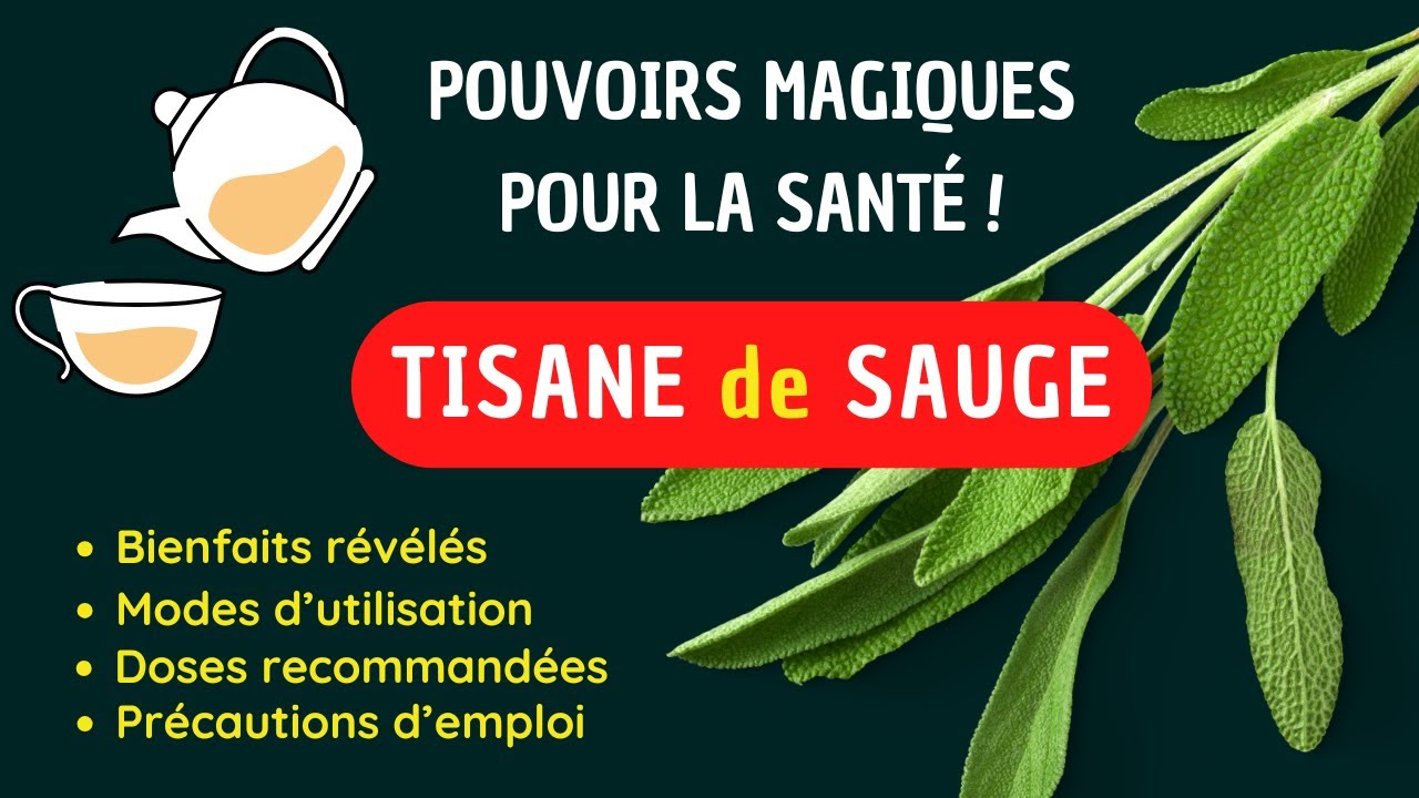 Pourquoi La Tisane de Sauge  est-elle la Solution Miracle que Tout le Monde Devrait Conna&icirc;tre ?