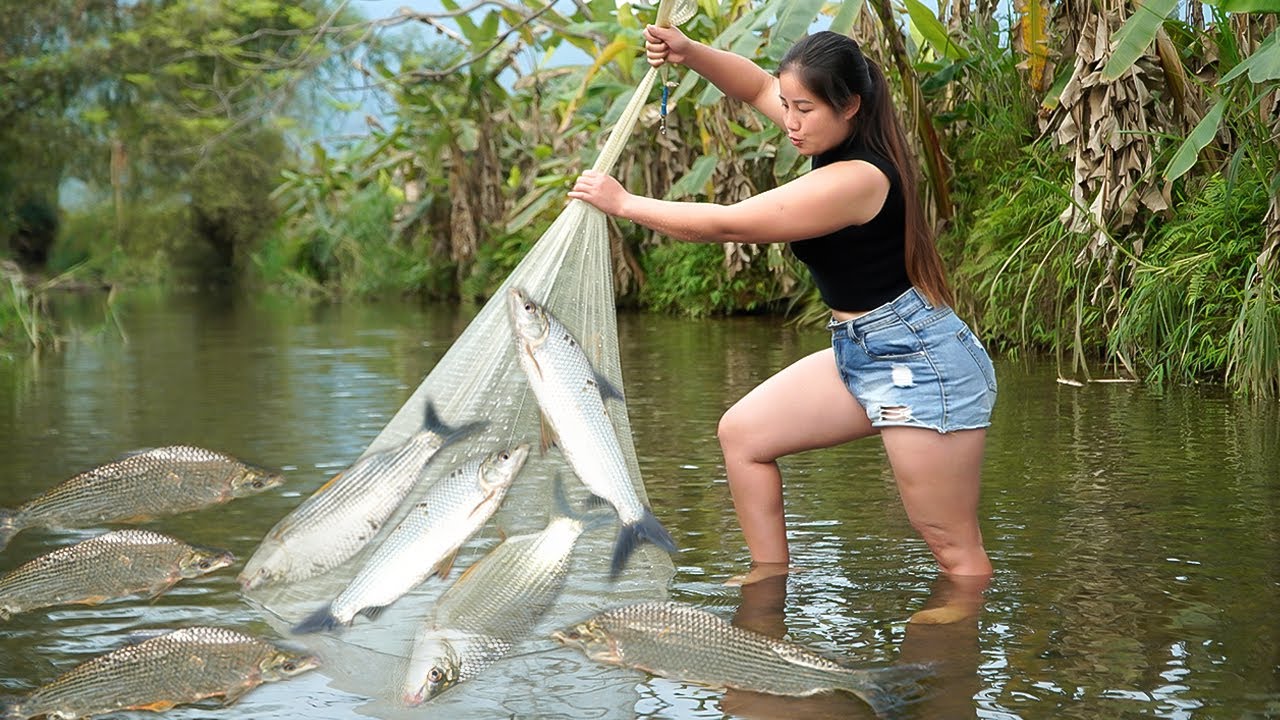 How to trap stream fish and catch a lot of fish by casting fishing nets. Đặng Thủy