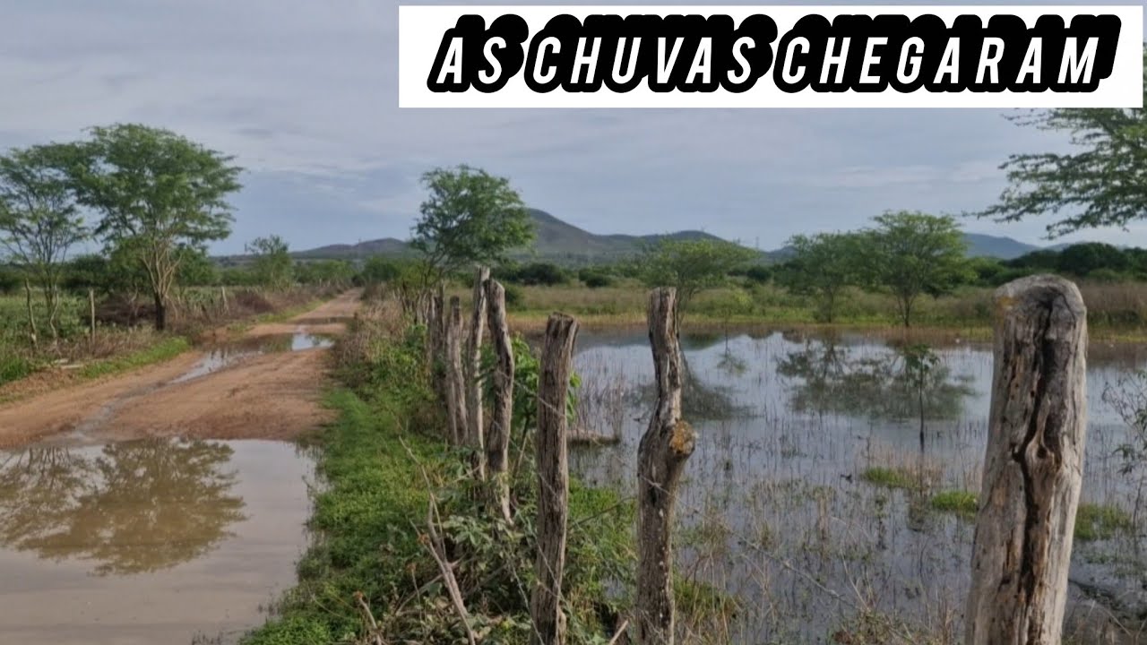 As chuvas chegaram Boa aqui onde eu vivo 
