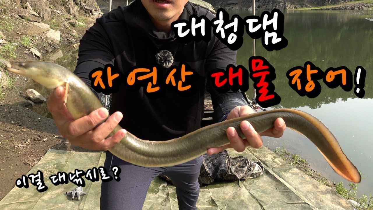 [한무 낚시TV] ep53 - 대낚시로 대물장어를 잡았습니다. / 장어대낚시 / 장어보트낚시 / 민물장어낚시 / 붕어낚시 / 장어낚시 / 붕어보트낚시 / 옥로찌 / 옥로수제찌
