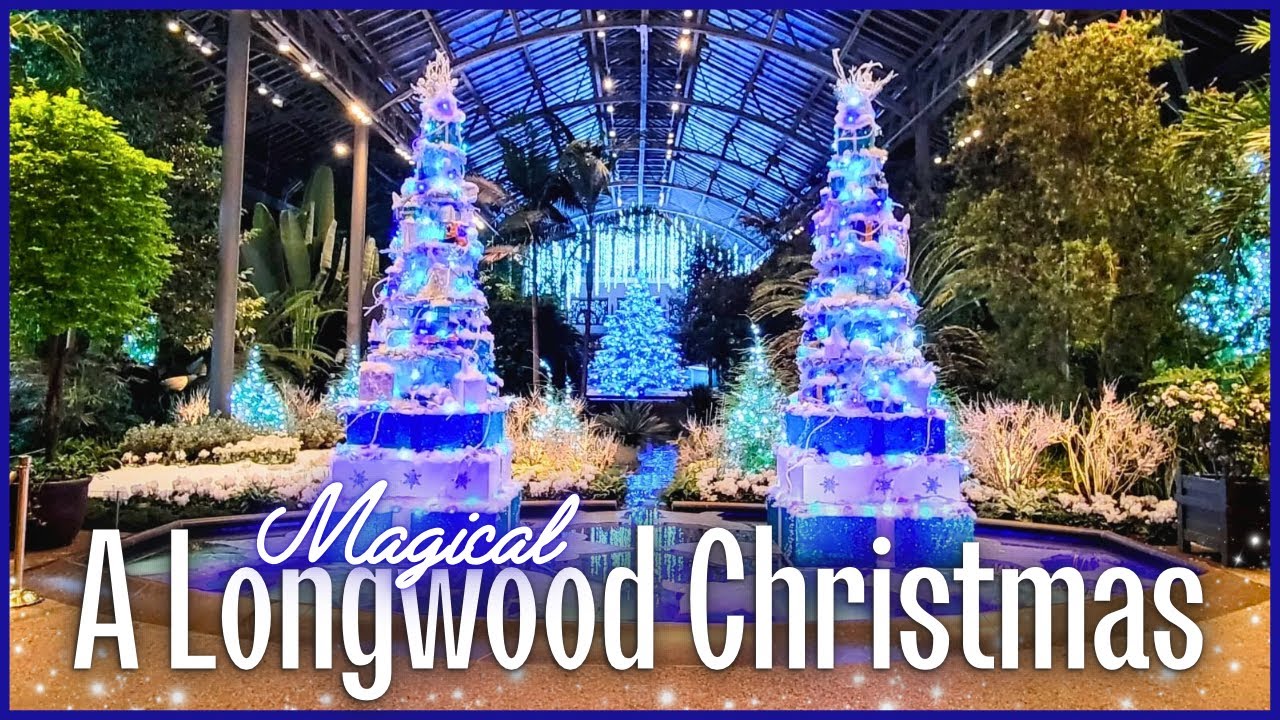 A Longwood Christmas 2024 🎄  | 4k Tour | Decorated Trees, Garden Lights, Holiday Fountain Show