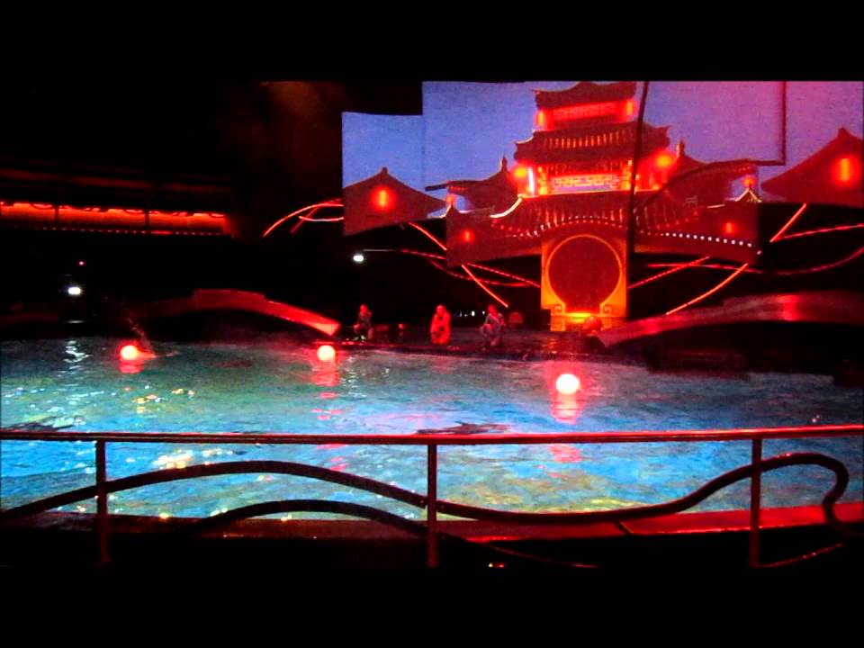 Aqua Bella Dolfinarium 11-8-2013