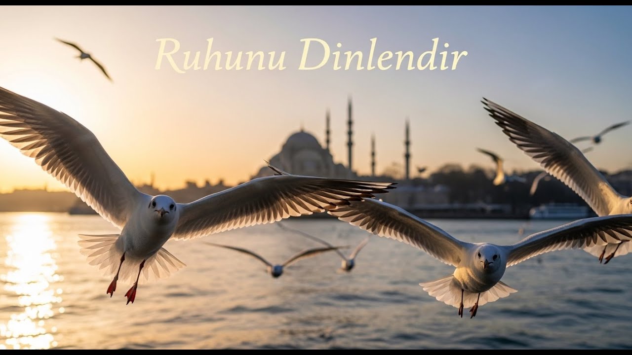 (7/24 ONLİNE) Süper Sözsüz Fon Müzikleri • Sakinleştirici Duygusal Eserler ♫