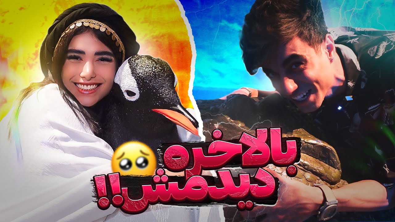 رفتیم جنگل من جغد دیدم ارسلانم خفاش‼️😭🦉🦇