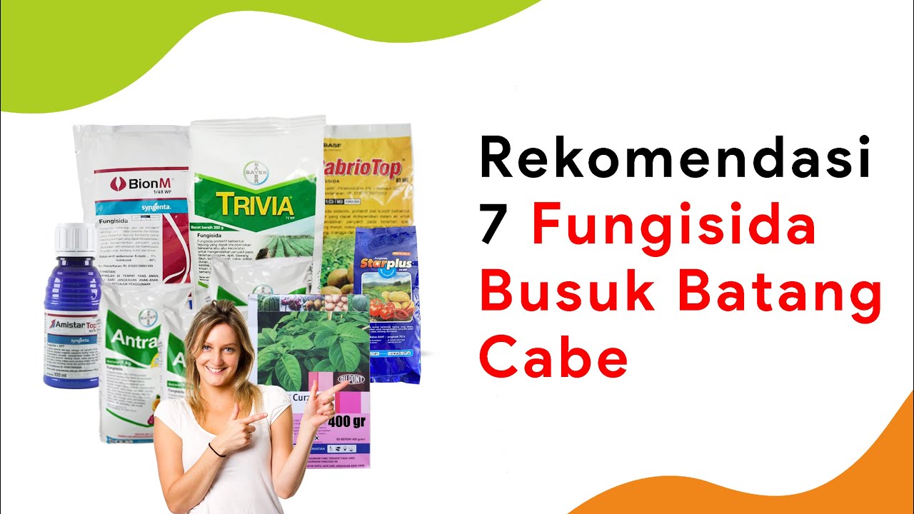 7 Fungisida Obat Busuk Batang Cabe, 30 - 200 Ribu