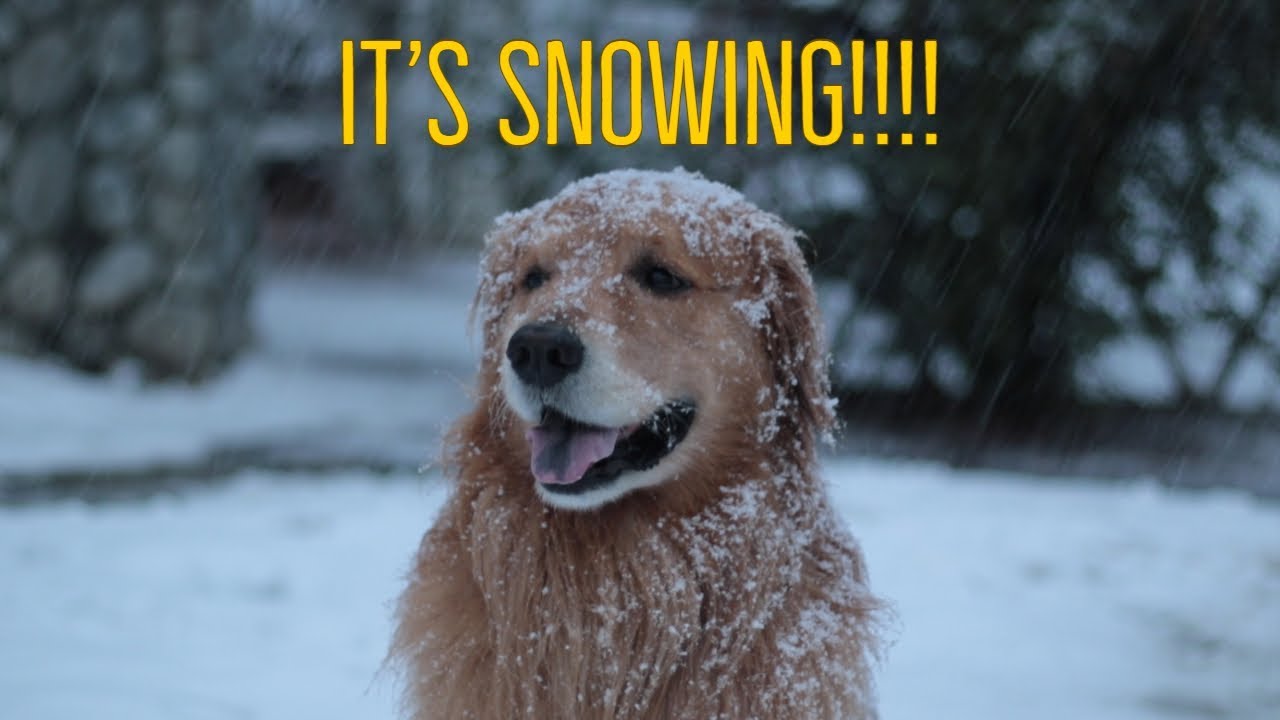 Oshie's First Real Snow | Oshies World