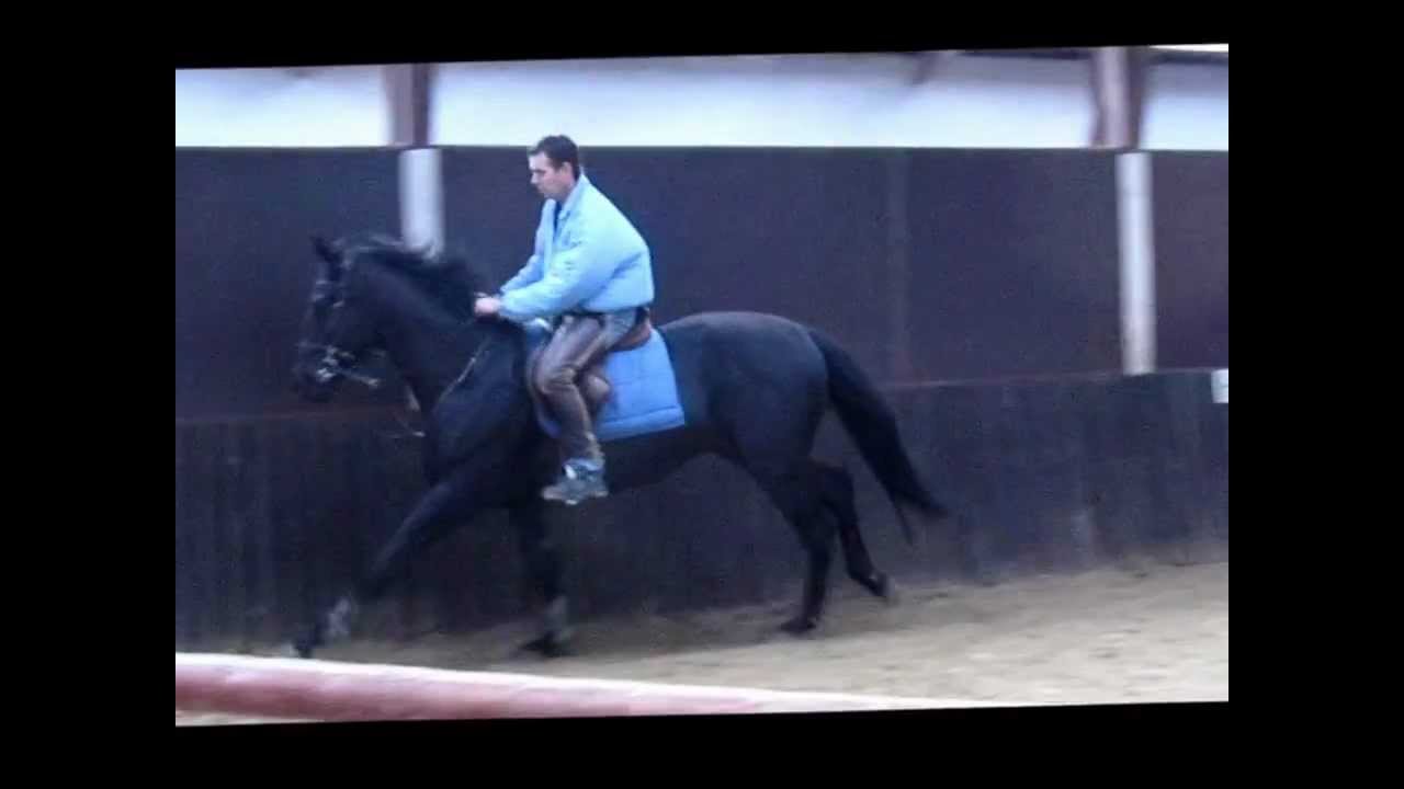 ERBENWAARD zadelmak maken - week 1 -