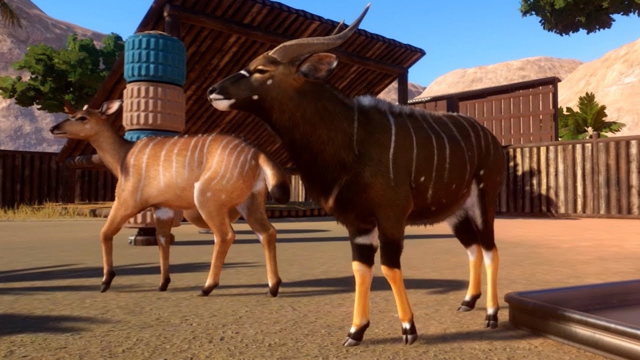 Planet Zoo - Nyala Gameplay (PC HD) [1080p60FPS]
