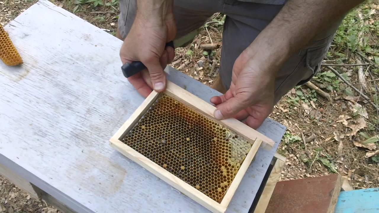 Fat Bee Man - Mini Mating Nuc Setup