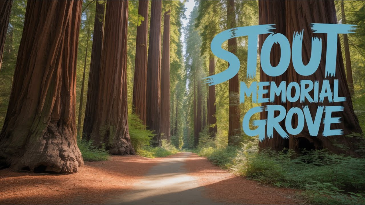 60 Second Hikes - Stout Memorial Grove