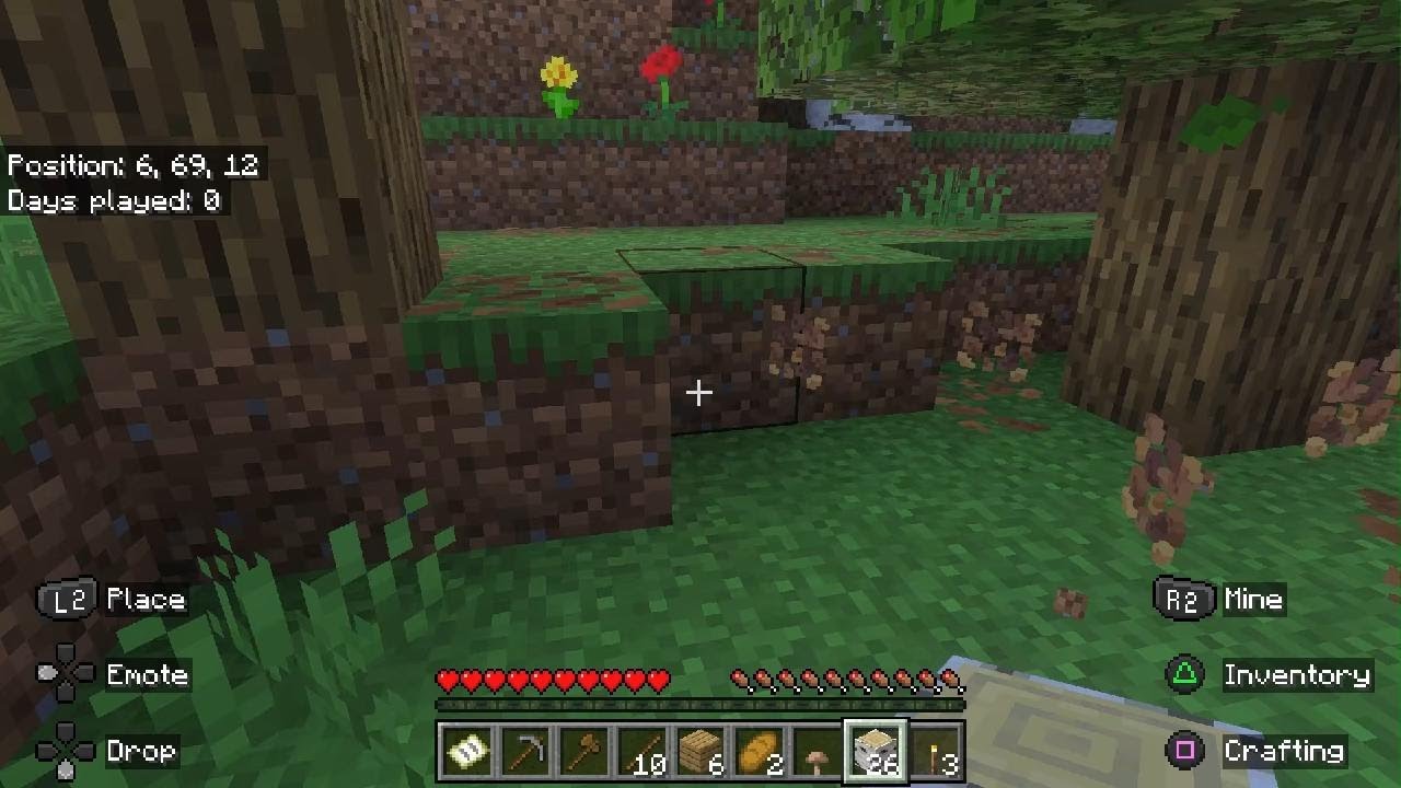 Bedrock solo survival run