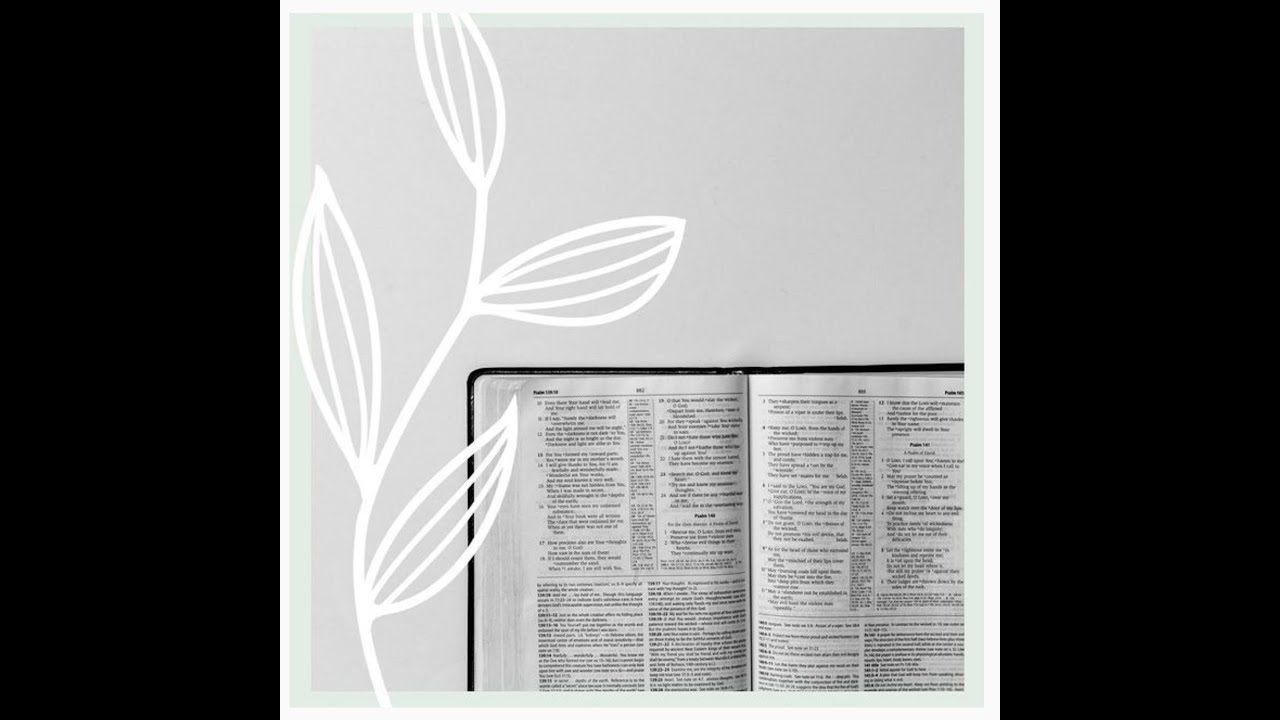 11  Taller Practico 1 Corte celestial