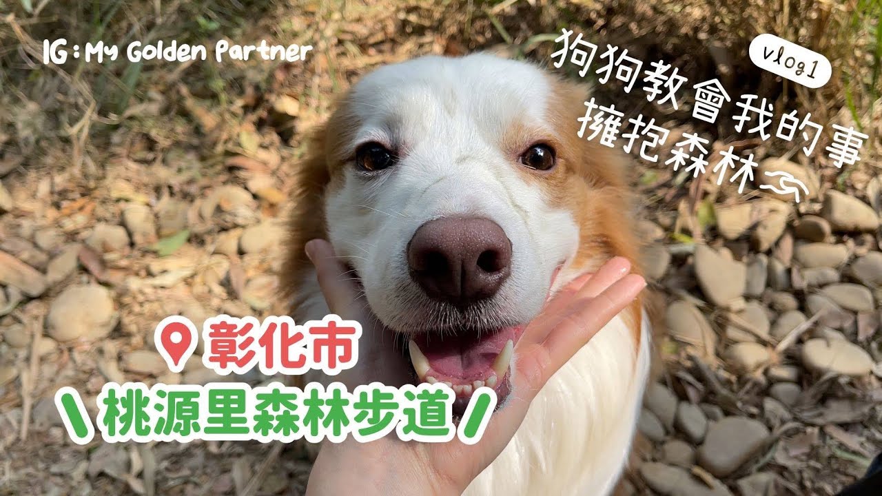 與狗狗擁抱大自然 #1｜桃源里森林步道｜布布Pluto