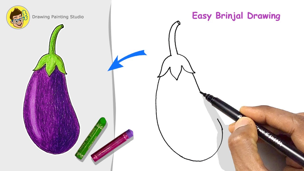 How to Draw Brinjal step by step for Beginners | Easy way Brinjal vegetable Drawing