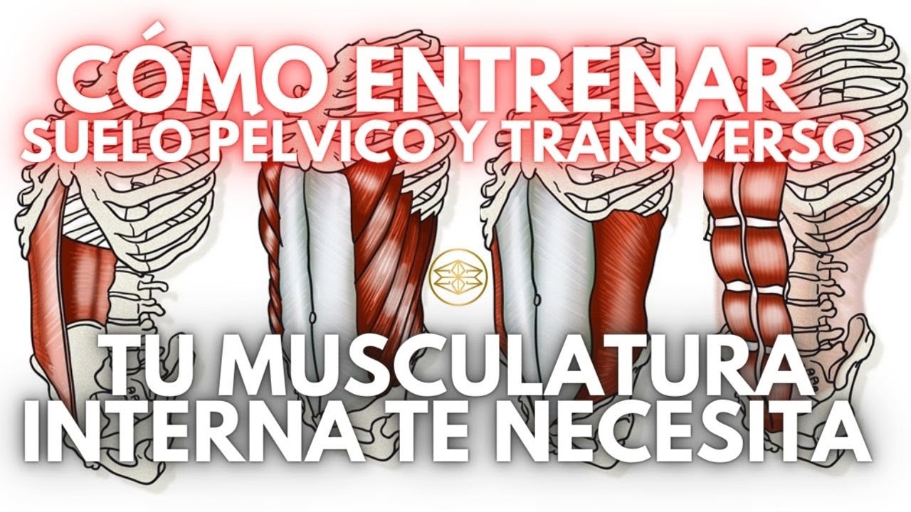 MUSCULATURA INTERNA | CÓMO FORTALECER SUELO PÉLVICO Y TRANSVERSO ABDOMINAL