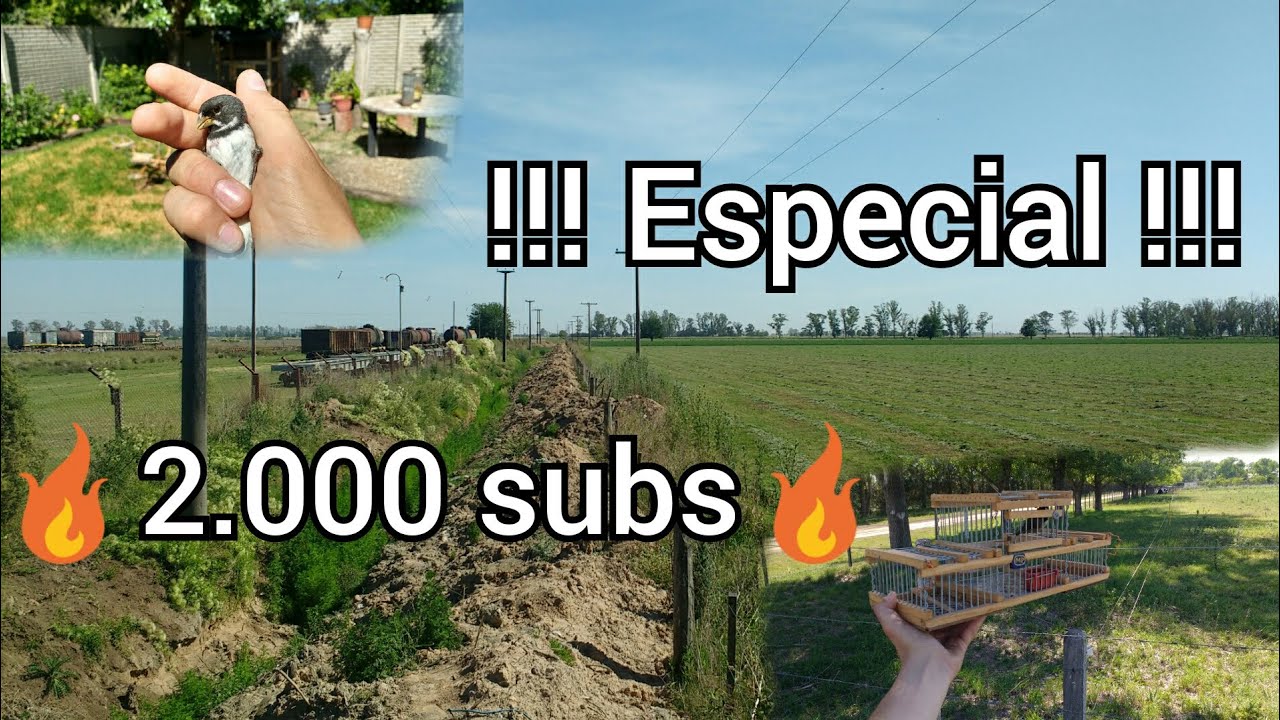 especial 2.000subs. 🔥SUSCRIBETE🔥dale 👍/miren hasta el final/no sé lo pierdan.Un 👋