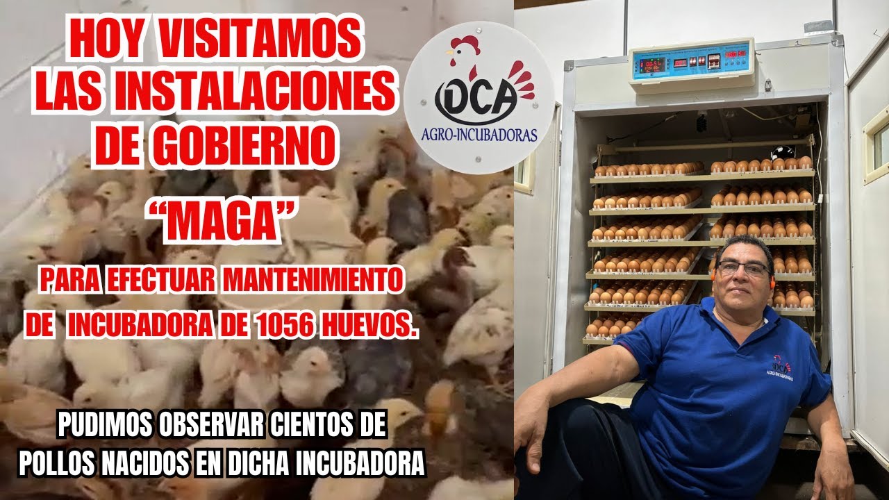 HACE UNOS DIAS ATRAS. VISITAMOS LAS INSTALACION DE GOBIERNO 