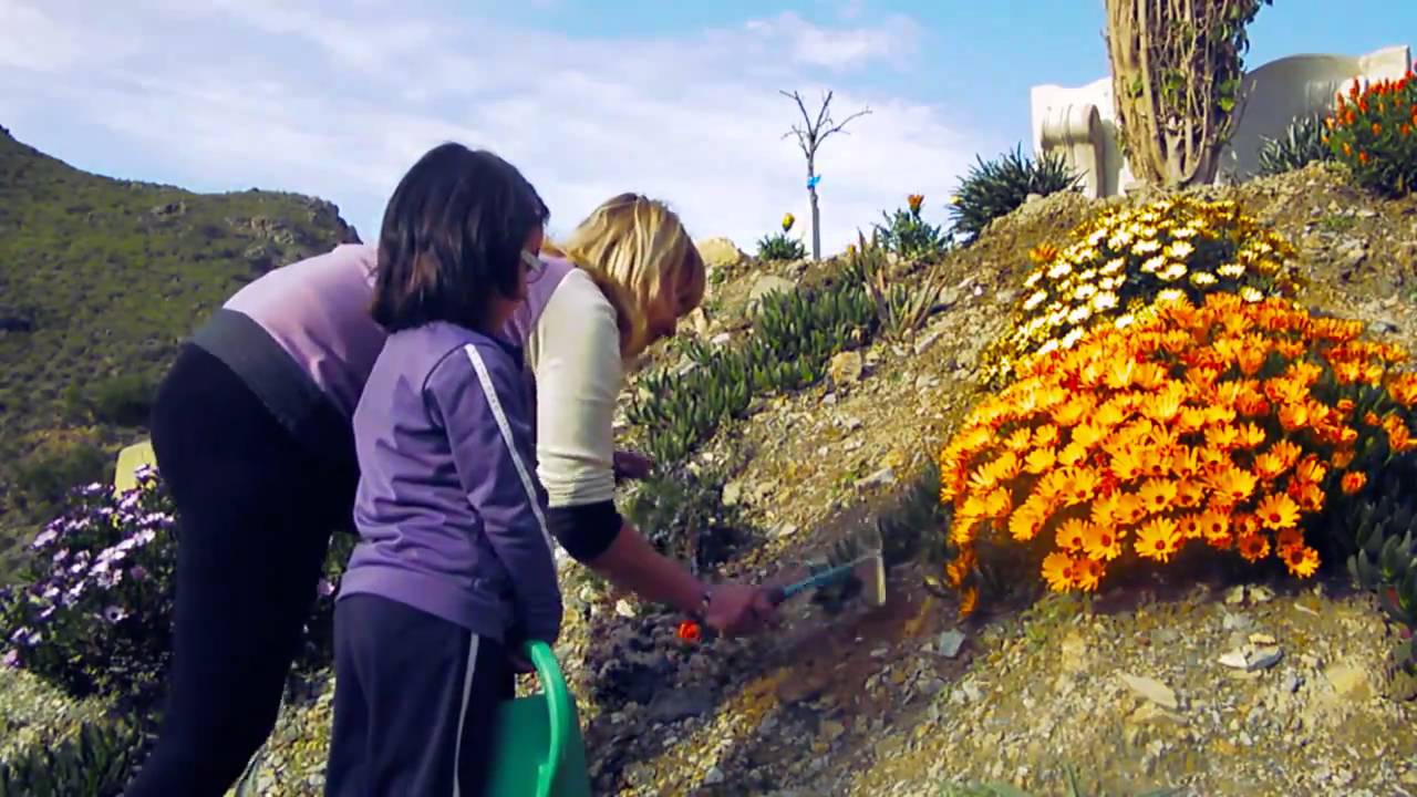 Vente a mi casa (la luciérnaga fundida)