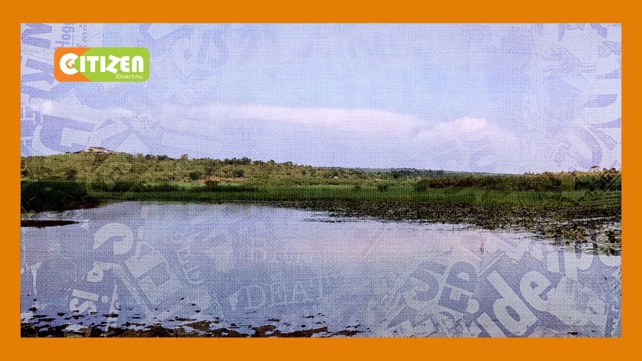 Lake Agro Limited kuendesha shughuli katika chemchemi ya Yala baada Dominion Farms kuondoka