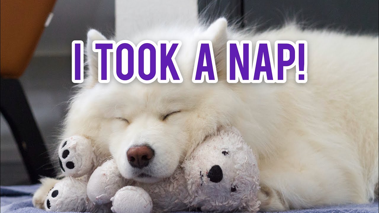 I Took A Nap!