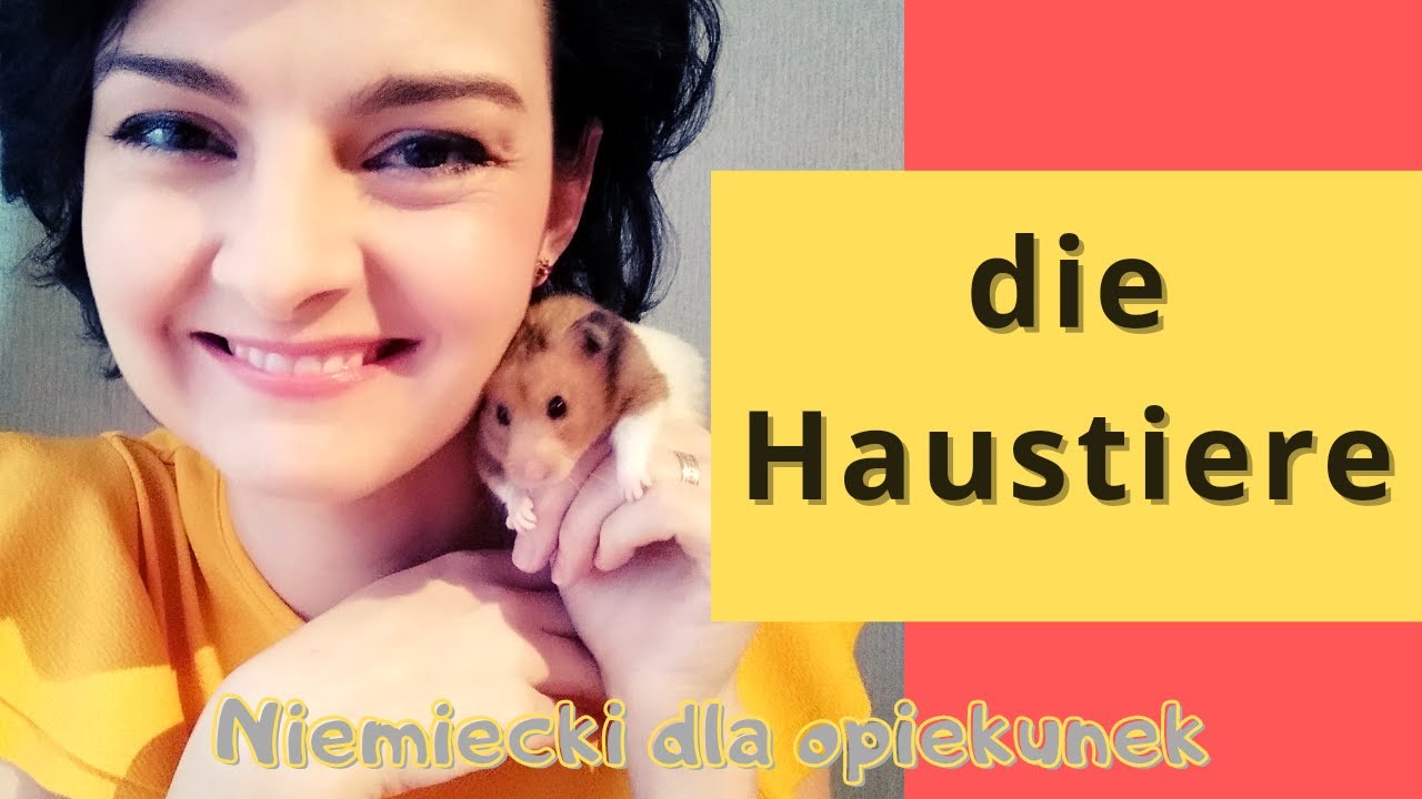 Zwierzęta domowe i obowiązki związane z ich posiadaniem. Haustiere - Lekcja 17