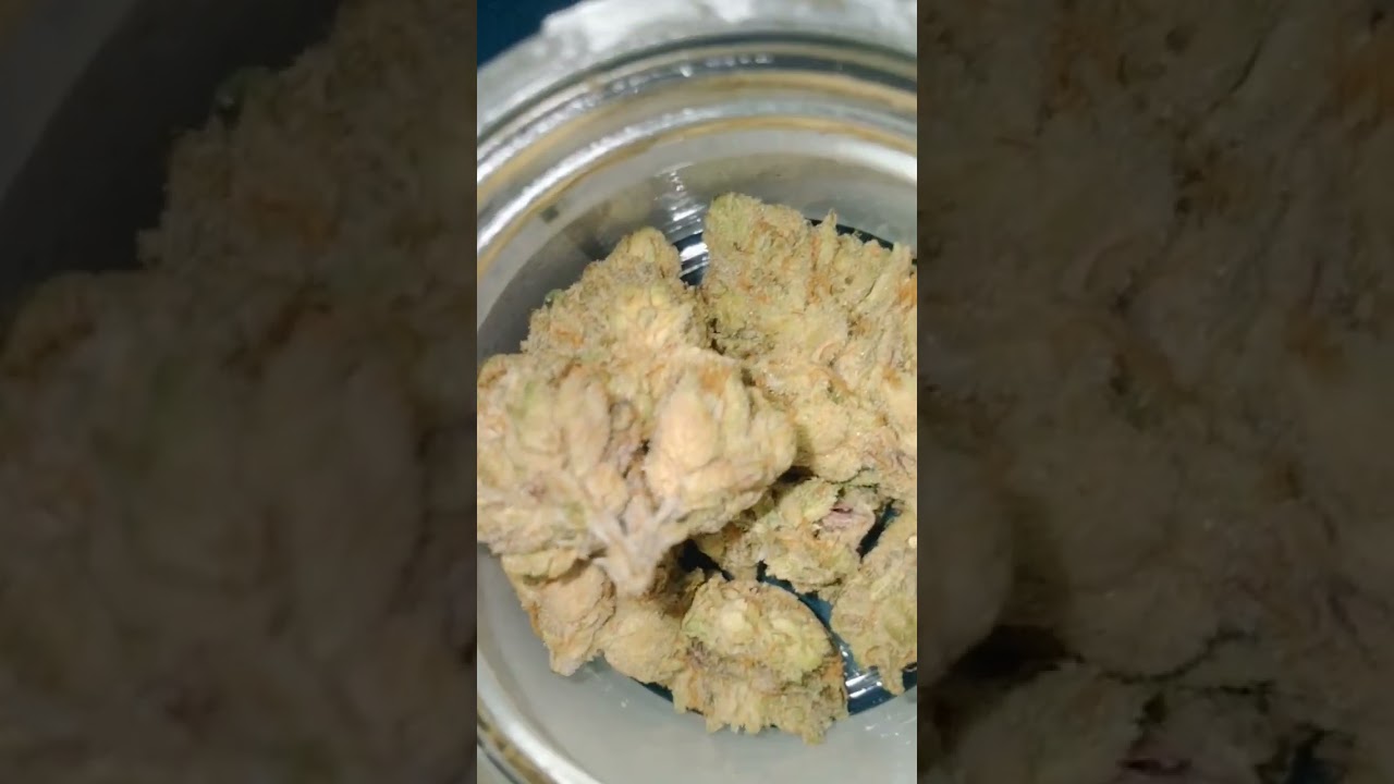 TERPY TIME TASTE BUDS -CONNECTED-LTD DROP GDPTHH&times;LT15 #11 @alienlabstv @connectedcannabis