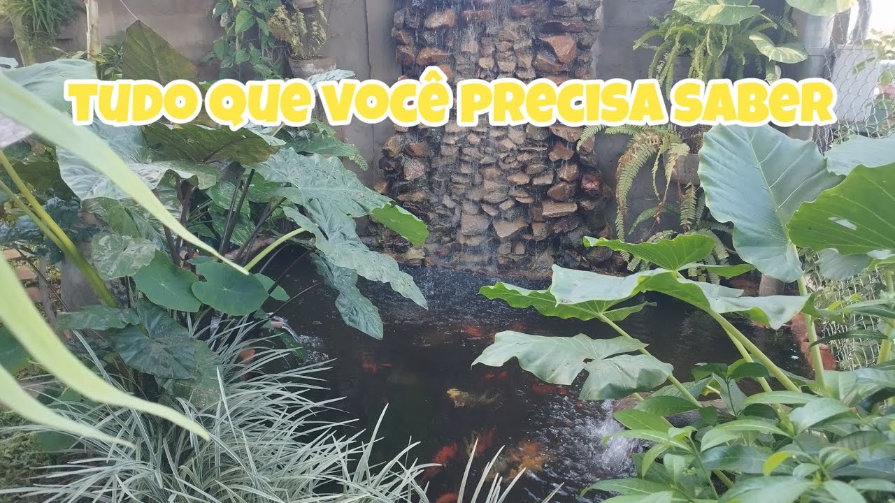 Lago de Carpas no Jardim 🌿🐟 | Passo a Passo, Custos, Manutenção e Vale a Pena?