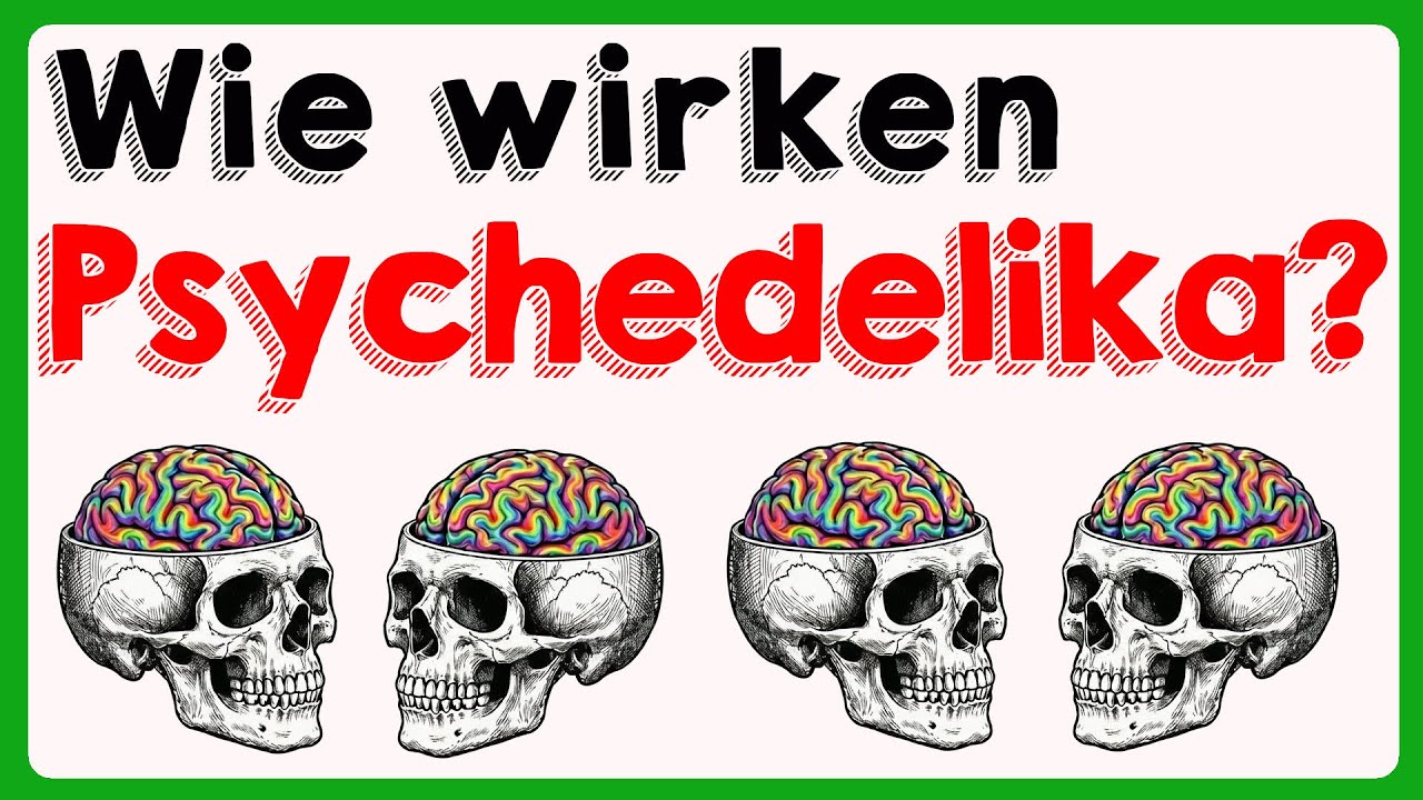 Wie funktionieren Psychedelika?