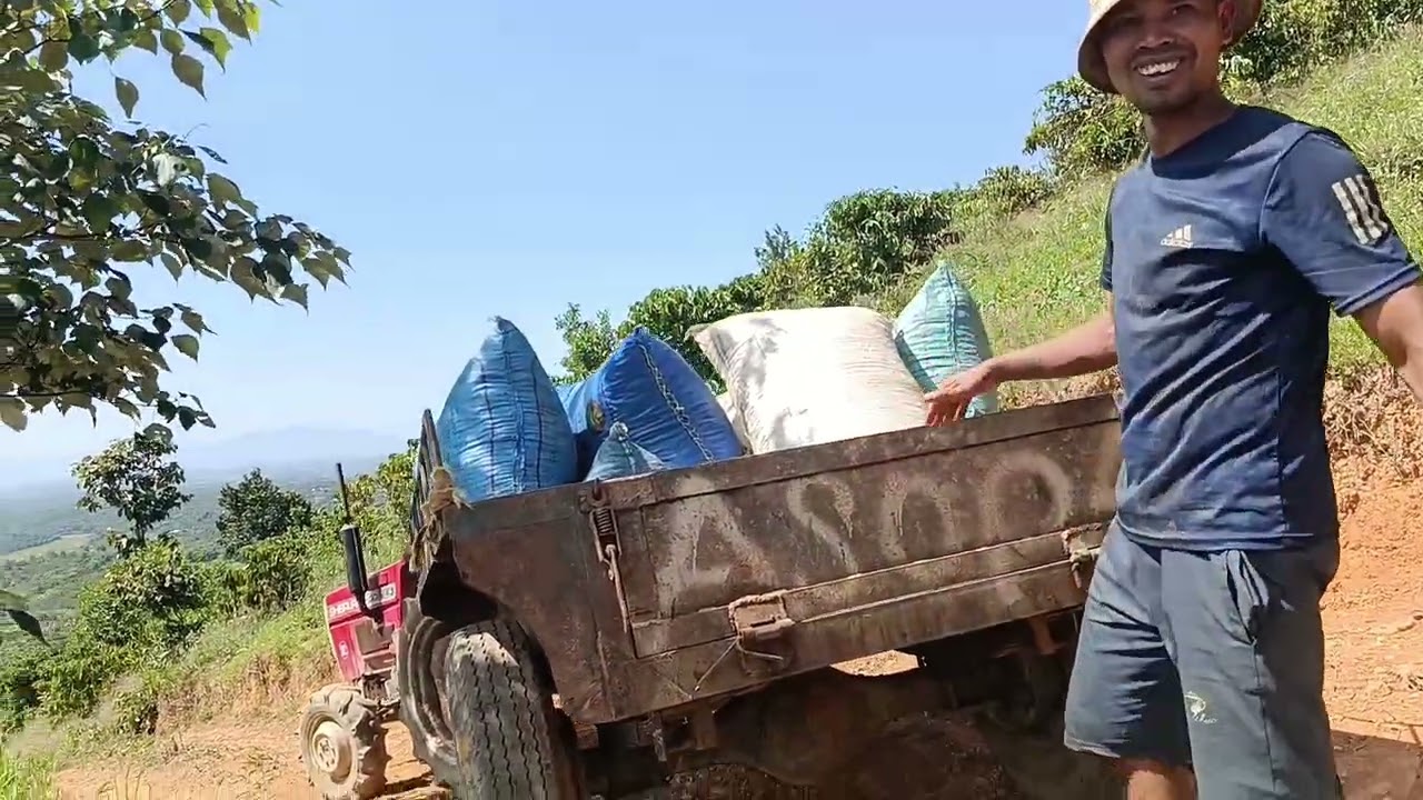 Một VỤ CA PHÊ 2025 _MỒ HỒI ĐỔI LẤY THÀNH QUẢ ☕