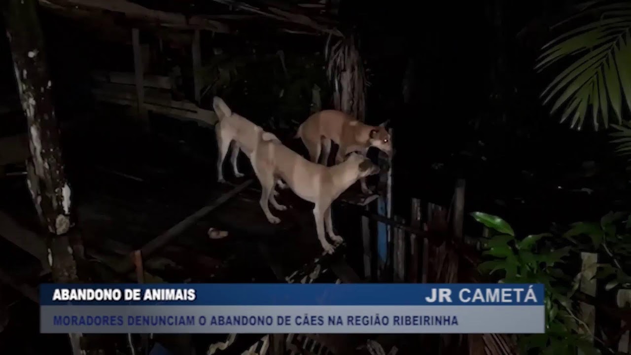 JR CAMETÁ AO VIVO