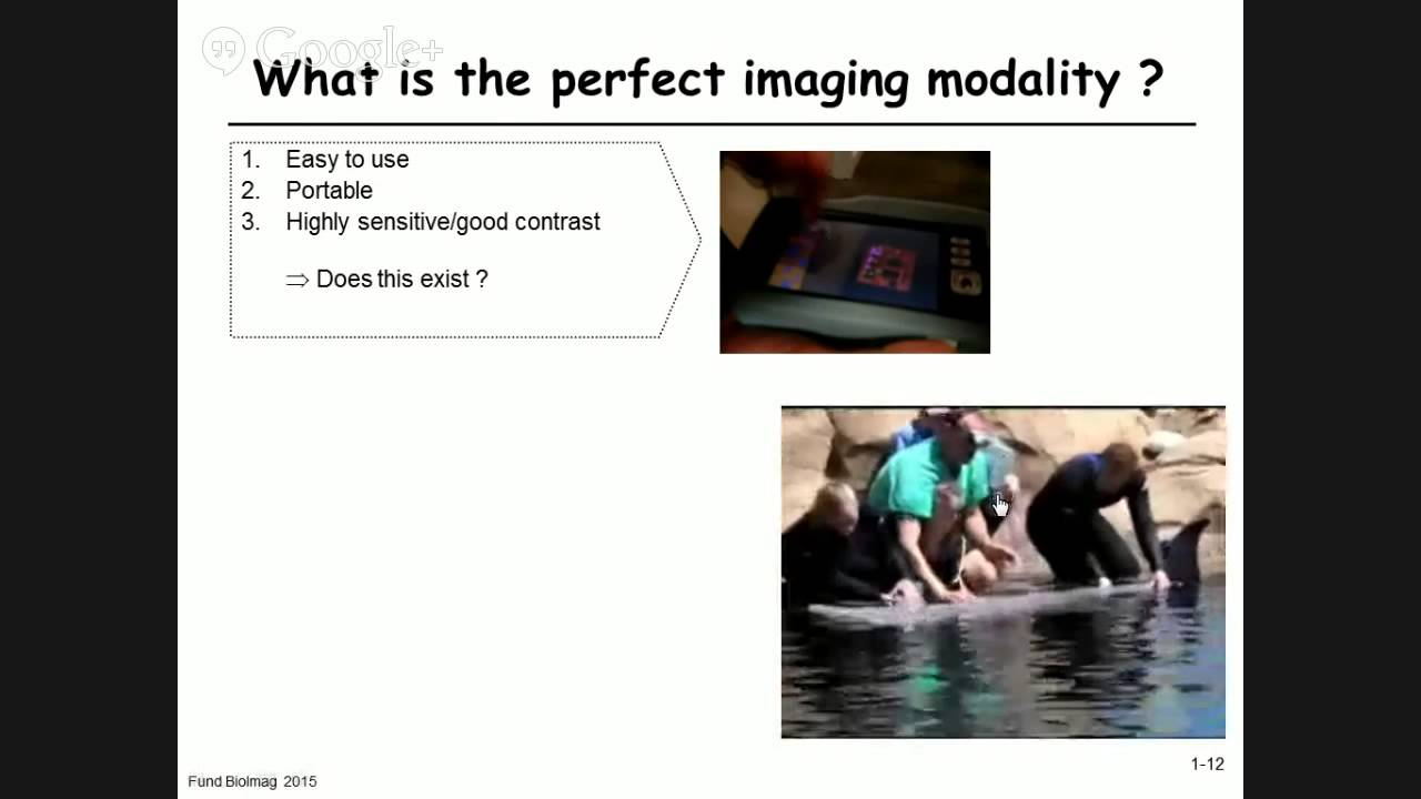 1.2 - Importance of biomedical imaging
