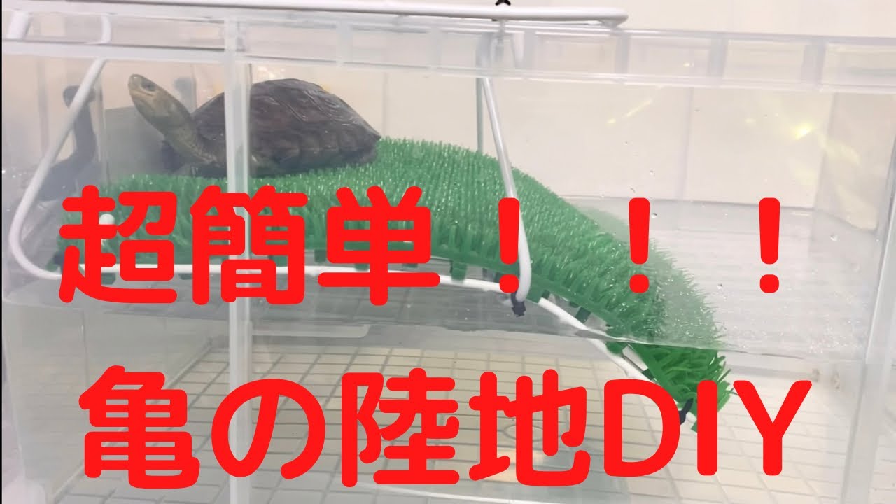 【必見☆超簡単！亀の陸地DIY】550円で簡単亀の陸地を作ってみた！　飼育環境、亀の陸地、DIY