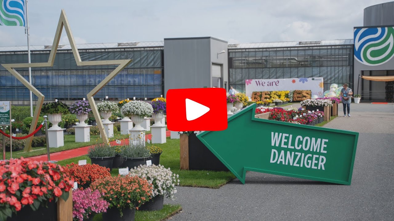 Danziger flower trails 2025