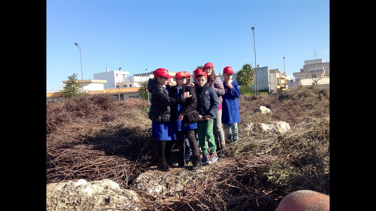 Novoli: Aspettando la Focara 2015