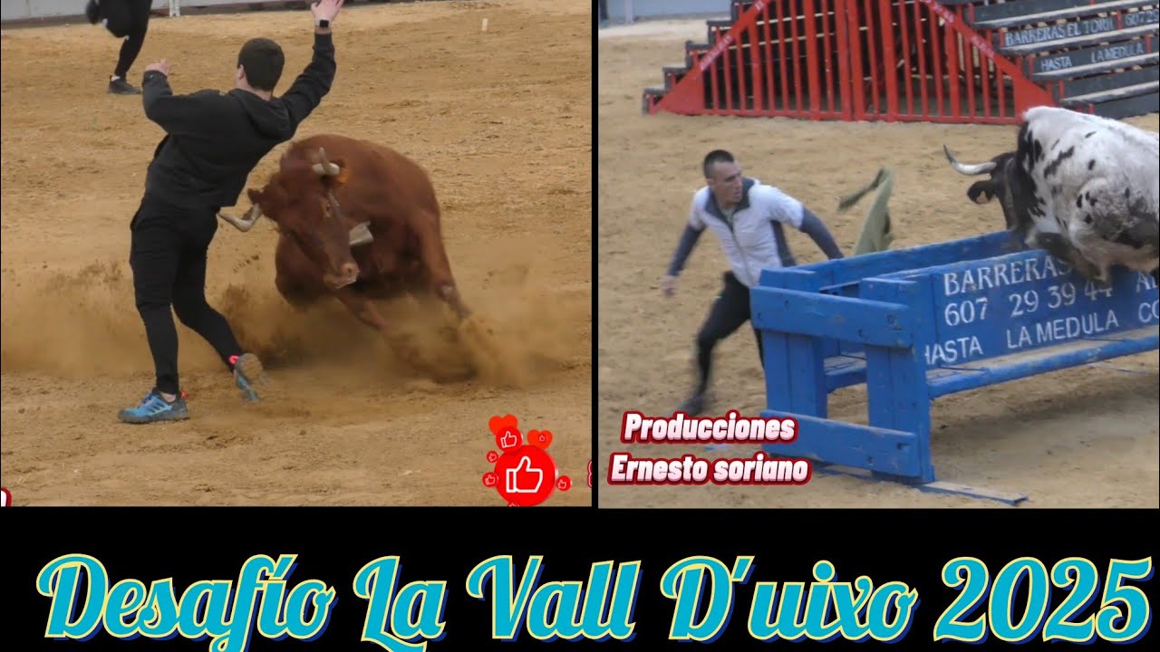 Detalles de Morena, Rabiosa Etc - Vall D'uixo feria de Invierno 2025 (Desafio)