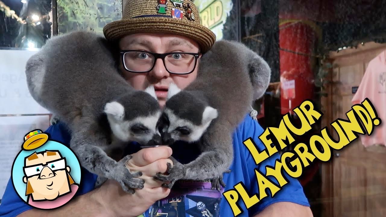 Random Reindeer Encounter on Branson Strip! - Playing with Lemurs and Otters at Wild World