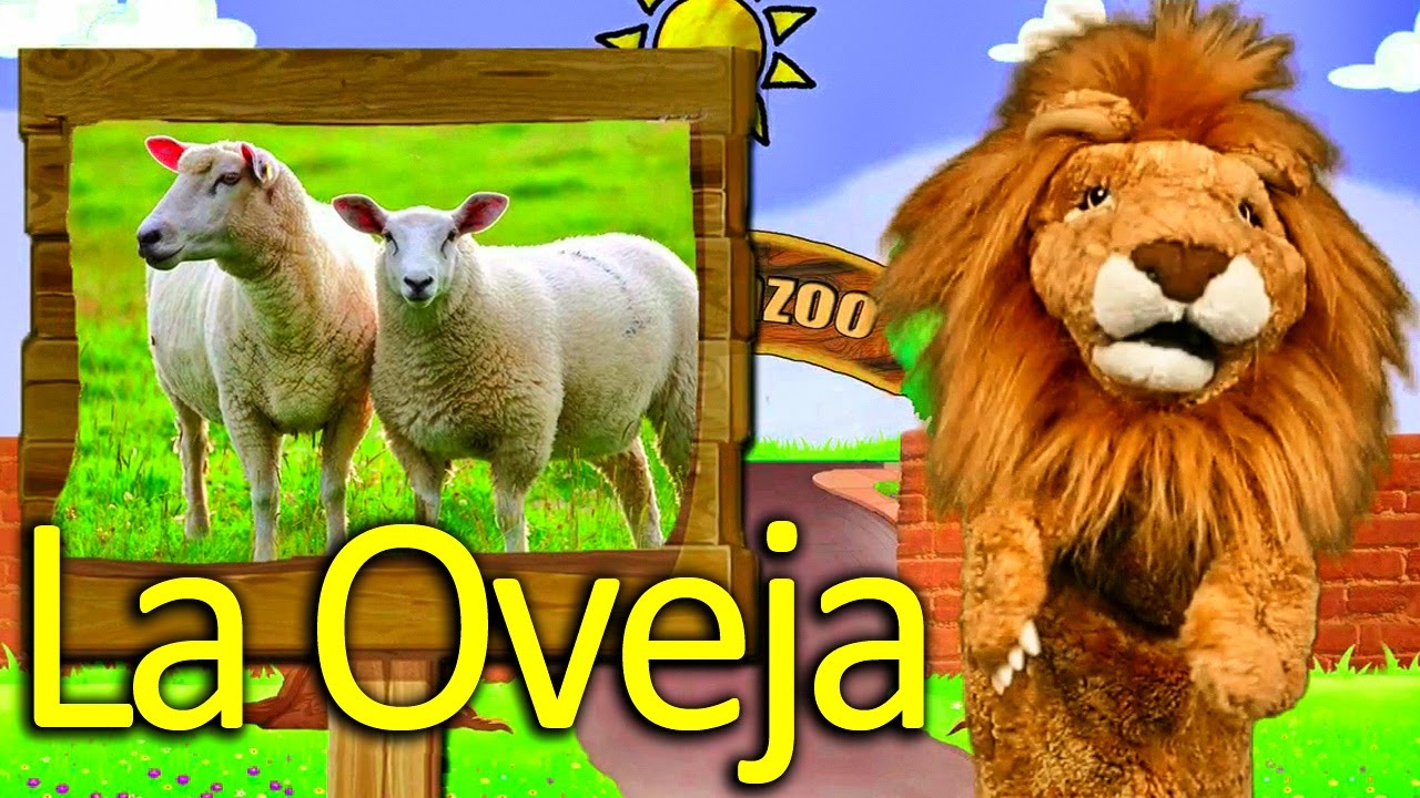 La Oveja - Los niños se divierten con animales del zoologico - Lorenzoo El León