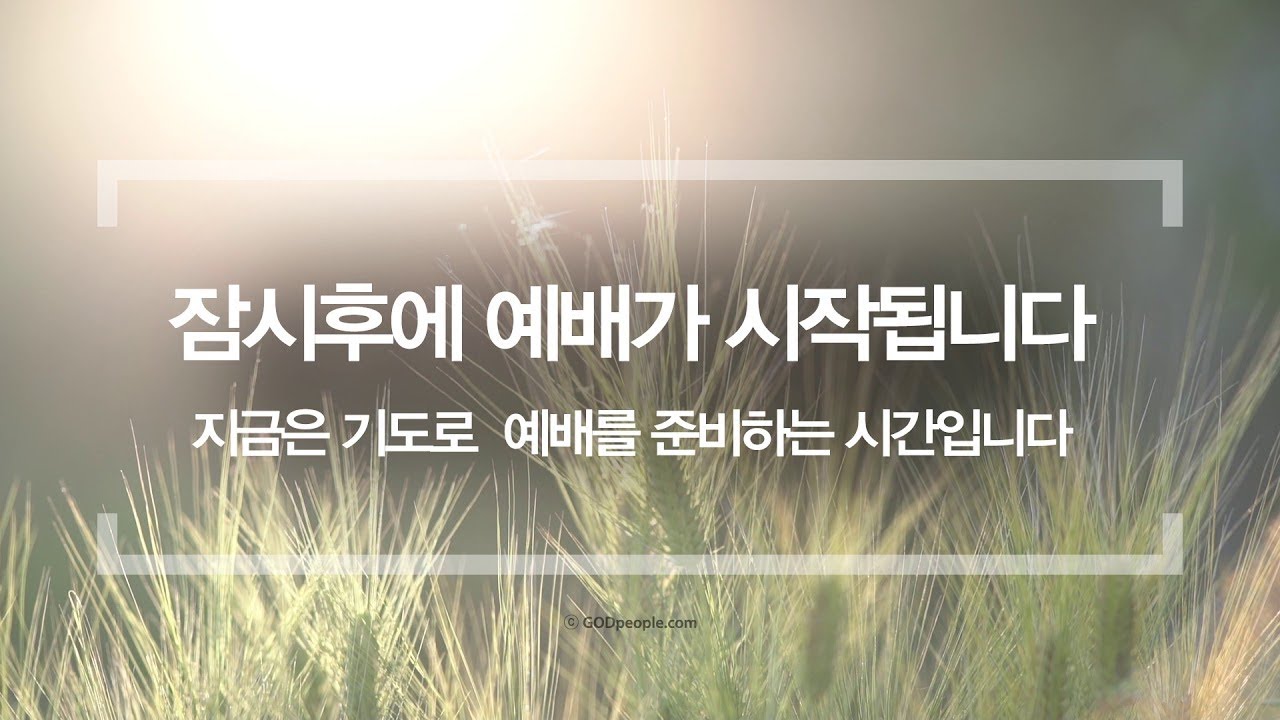 십자가만 아는 교회의 특징 / 오성한 목사 (흔들깃발교회)