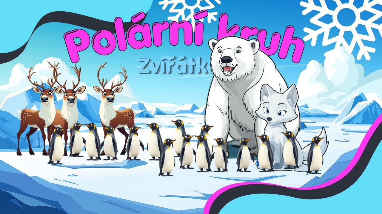 Zv&iacute;ř&aacute;tka pol&aacute;rn&iacute;ho kruhu 🐻&zwj;❄️ 🐋| Svět zv&iacute;řat