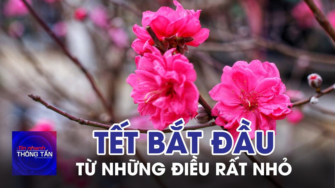 Tết bắt đầu từ những điều rất nhỏ | Tin nhanh Thông tấn