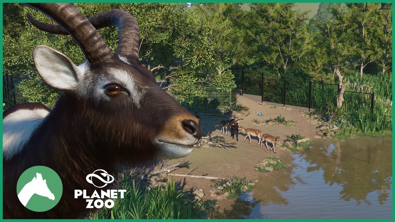 Nile Lechwe Habitat | Elm Hill City Zoo | Planet Zoo