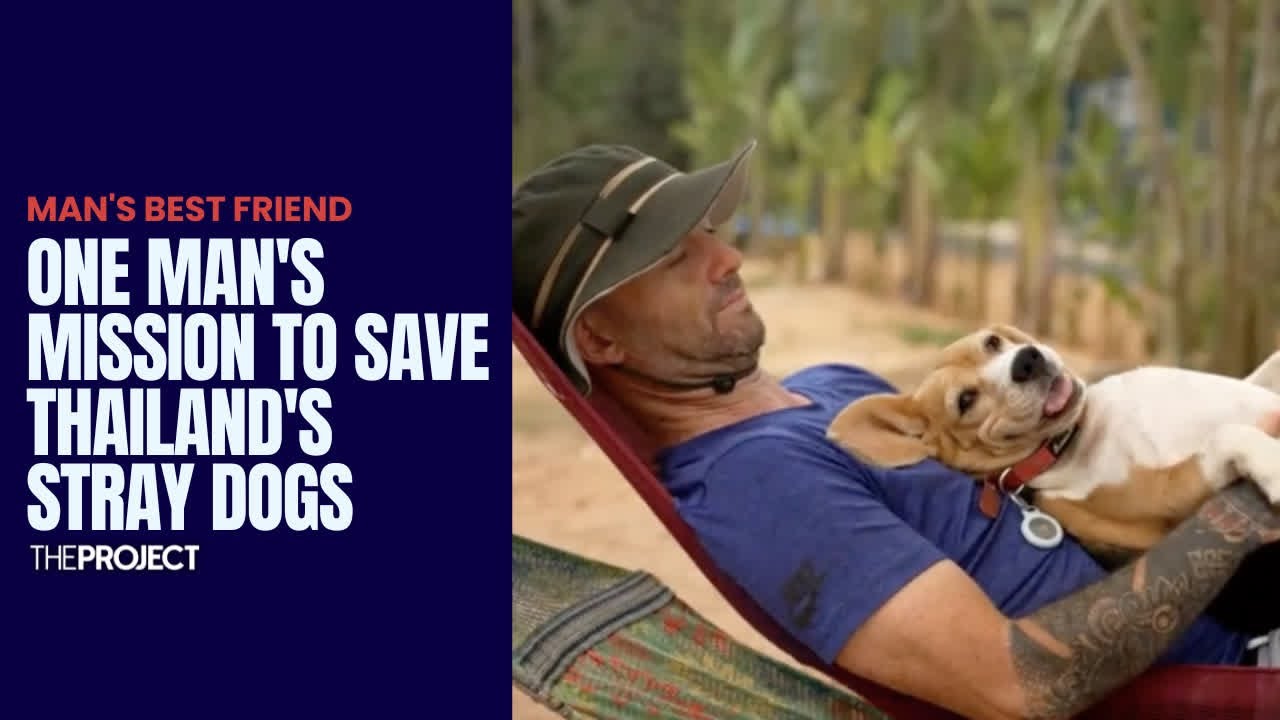 Meet The Man Who Is Trying To Save Every Stray Dog In Thailand