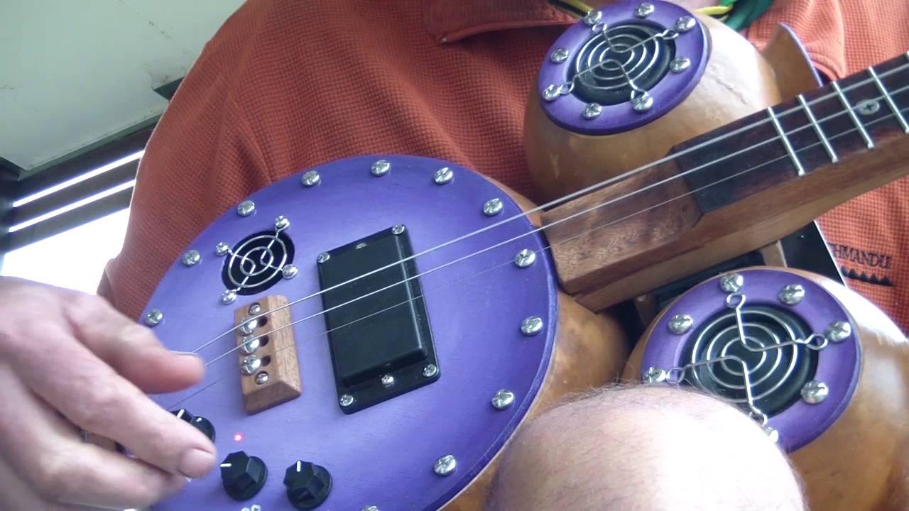 Custom Build Gourd Guitar 'Self Amplified'