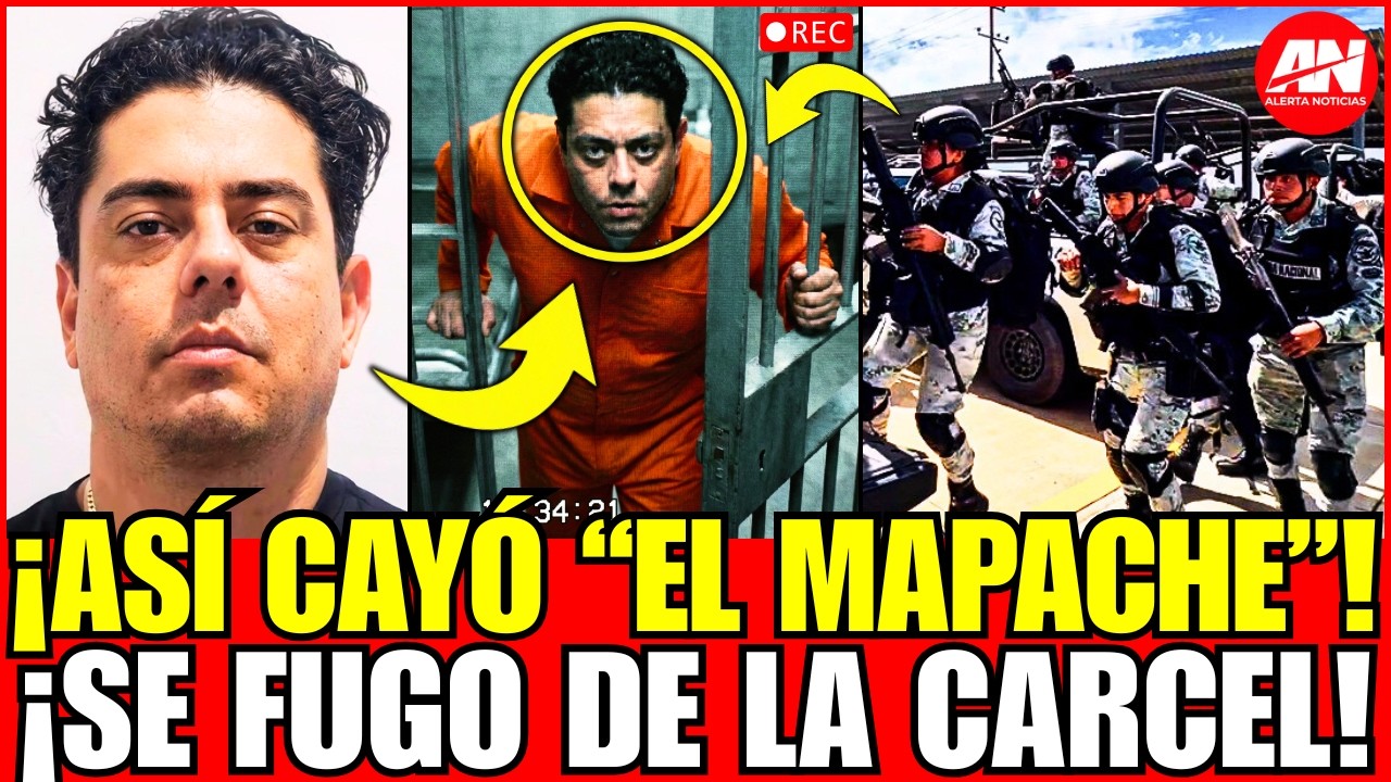 ¡CAYÓ 