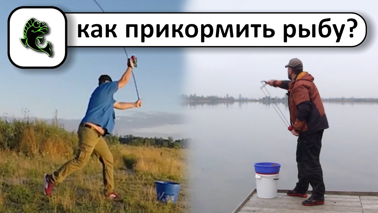 Способы прикармливания рыбы на рыбалке с флэт метод фидер