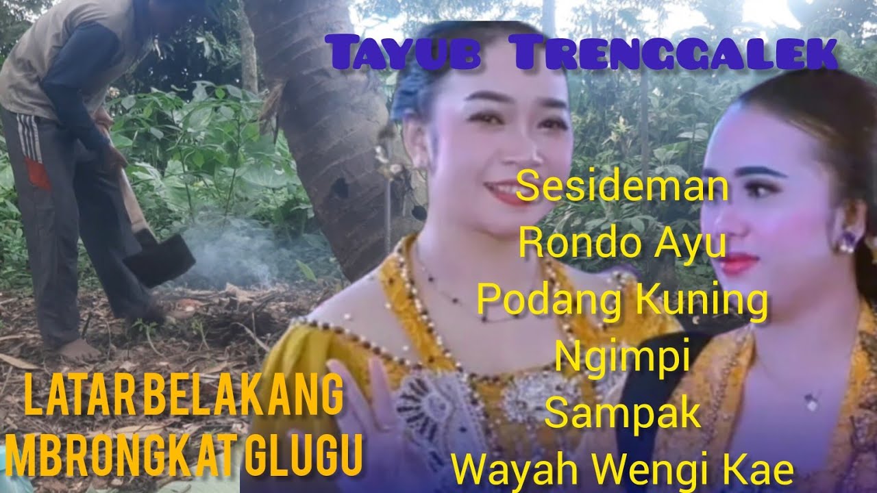 Gending Tayub Trenggalek Dengan latar Belakang Mbrongkat Pohon Kelapa.